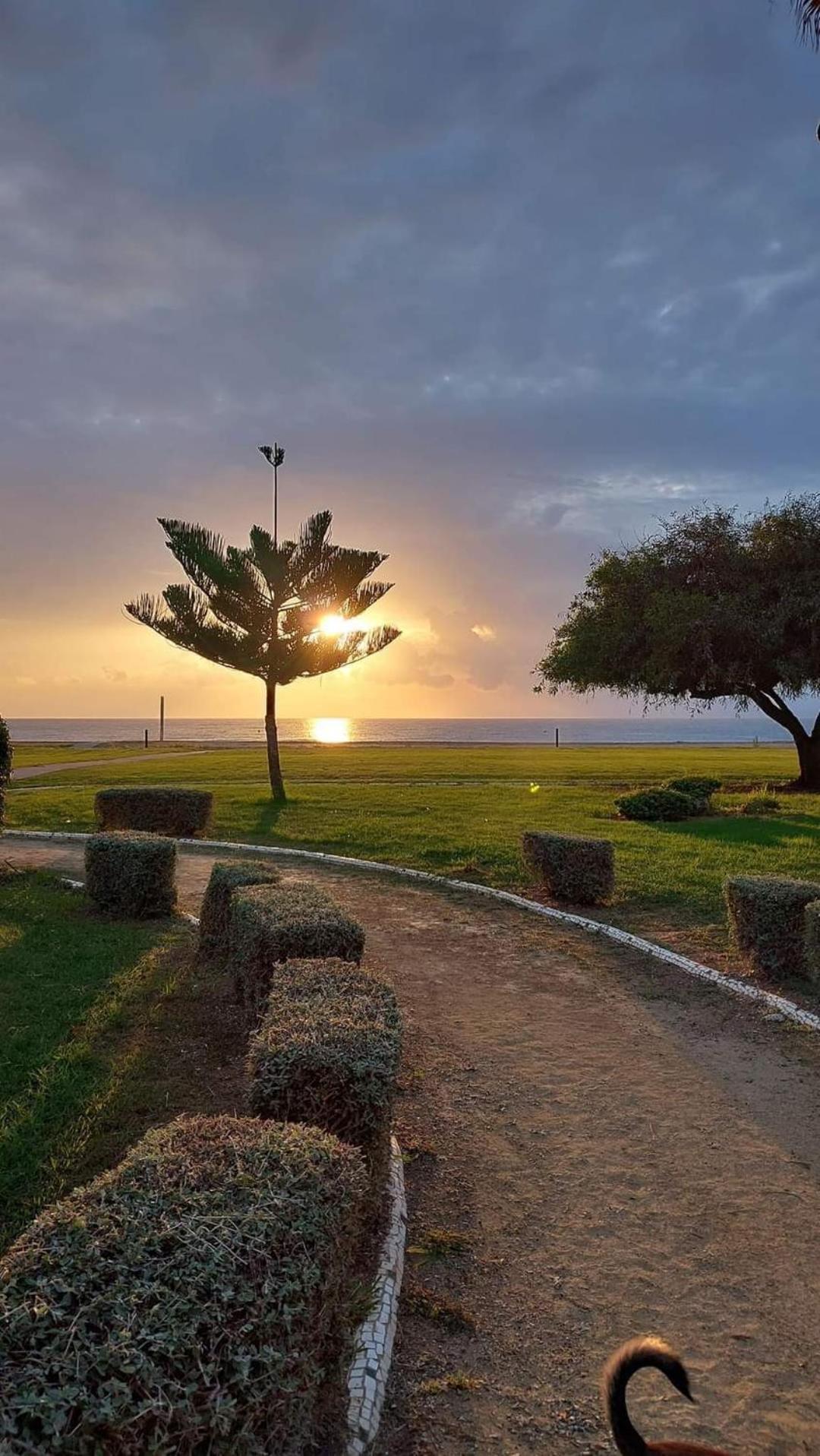 Apartamento Magic World Nueva Marina D'Or 2 Dormitorios Edificio Torremar Oropesa del Mar Exteriör bild