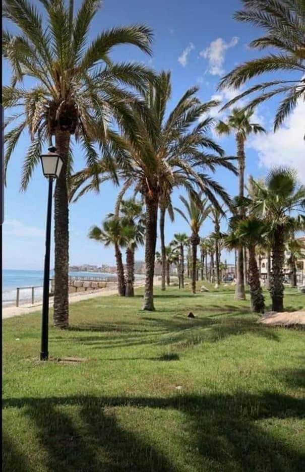 Apartamento Magic World Nueva Marina D'Or 2 Dormitorios Edificio Torremar Oropesa del Mar Rum bild